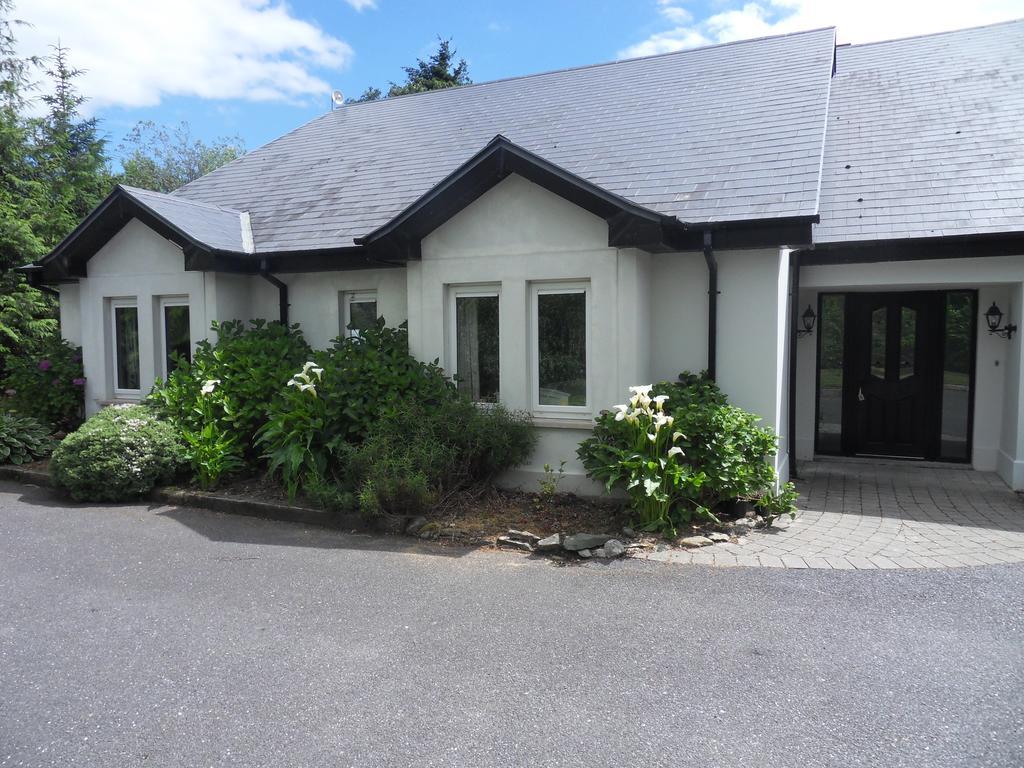 Ethan House Cill Airne Kültér fotó